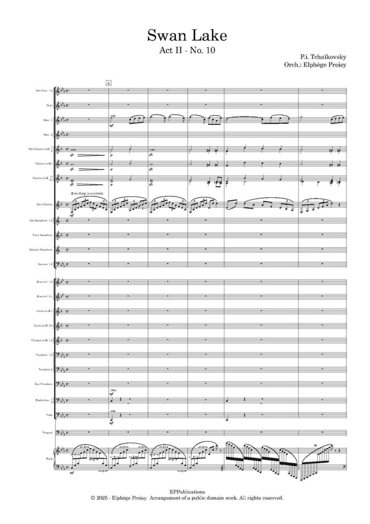 première page Lac des Cygnes